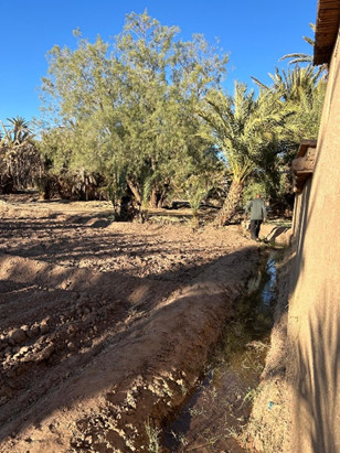Seguia à Skoura