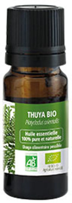 Thuya huile essentielle