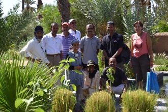 photo agrohoméo à Skoura